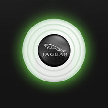 Load image into Gallery viewer, 4pcs Jaguar Door Shock Absorbers