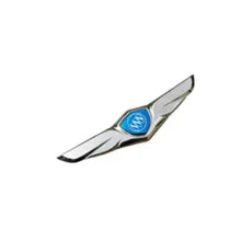 Load image into Gallery viewer, Buick Logo Wings Decal Emblem
