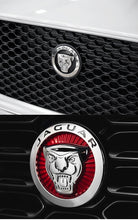 Load image into Gallery viewer, Jaguar Growler Grille Emblem- 70.3mm, 85.4mm
